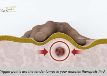 trigger points - learn to massage - online massage courses